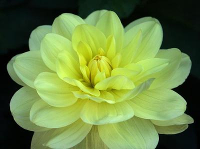 Glorie van Heemstede