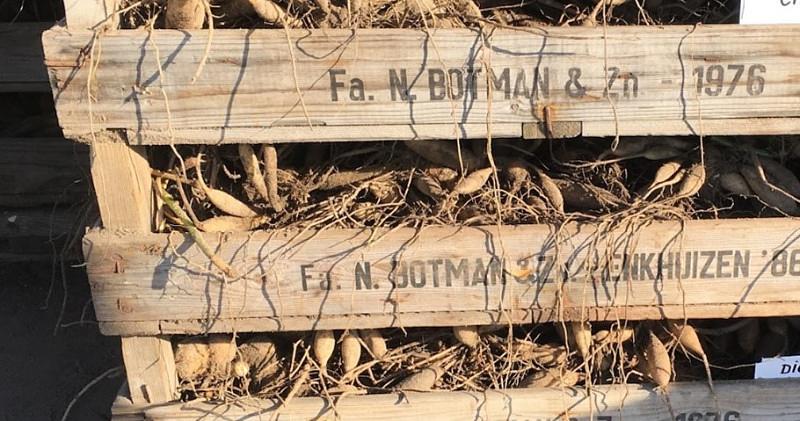 Afbeelding bij Droge kelder gezocht