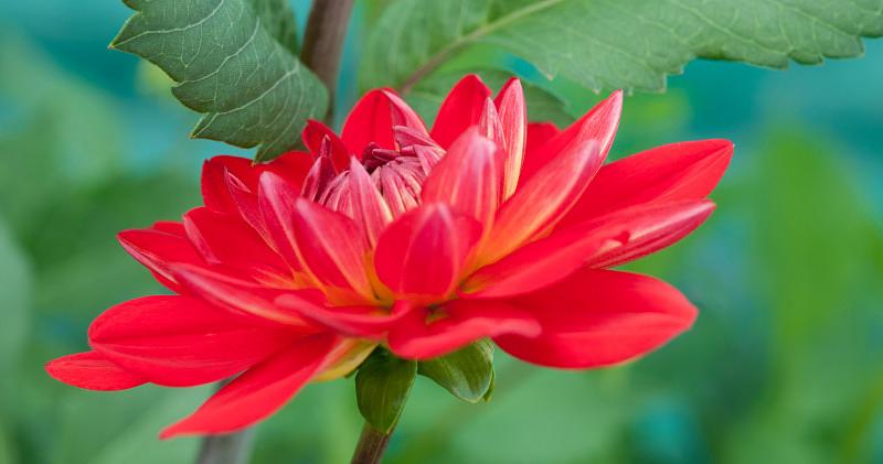 Afbeelding bij Het perfecte plaatje