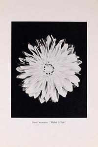 Mabel B. Taft