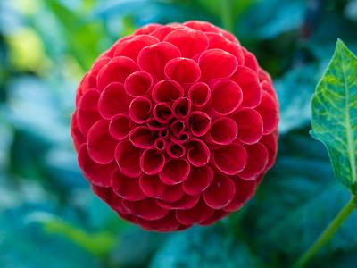 Sieckmanns Feuerball