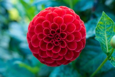 Sieckmanns Feuerball