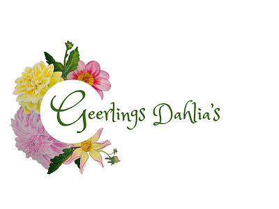 Geerlings Dahlia's