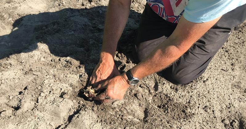 Afbeelding bij Op de knieën voor de dahlia