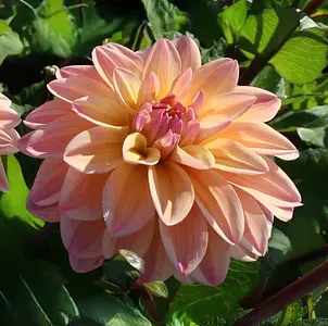 Overig, Miscellaneous