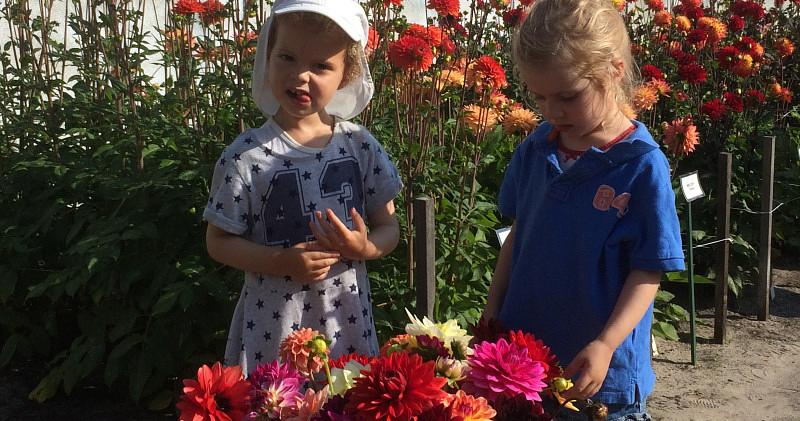 Afbeelding bij Plukgeluk