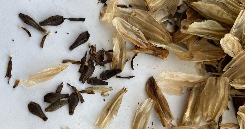 Afbeelding bij We zoeken nog een blauwe