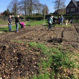 Dahliavereniging Bloemendaal